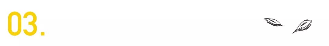 这档9.6分的神综艺，“*窥偷**”了1000万社畜最狼狈的样子