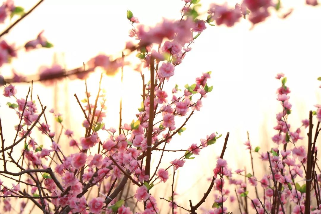 海淀稻香湖冰雪世界,海淀区冰雪场所
