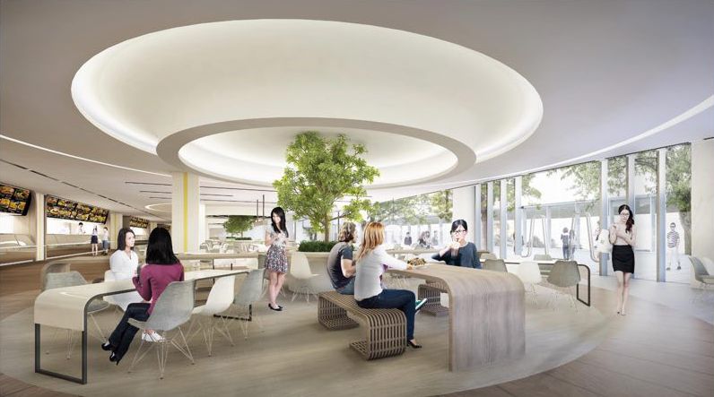 西安曲江康桥国际学校,西安康桥国际学校最新消息