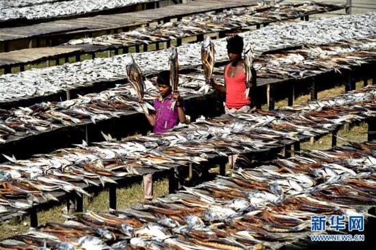 一周看世界,一周看天下