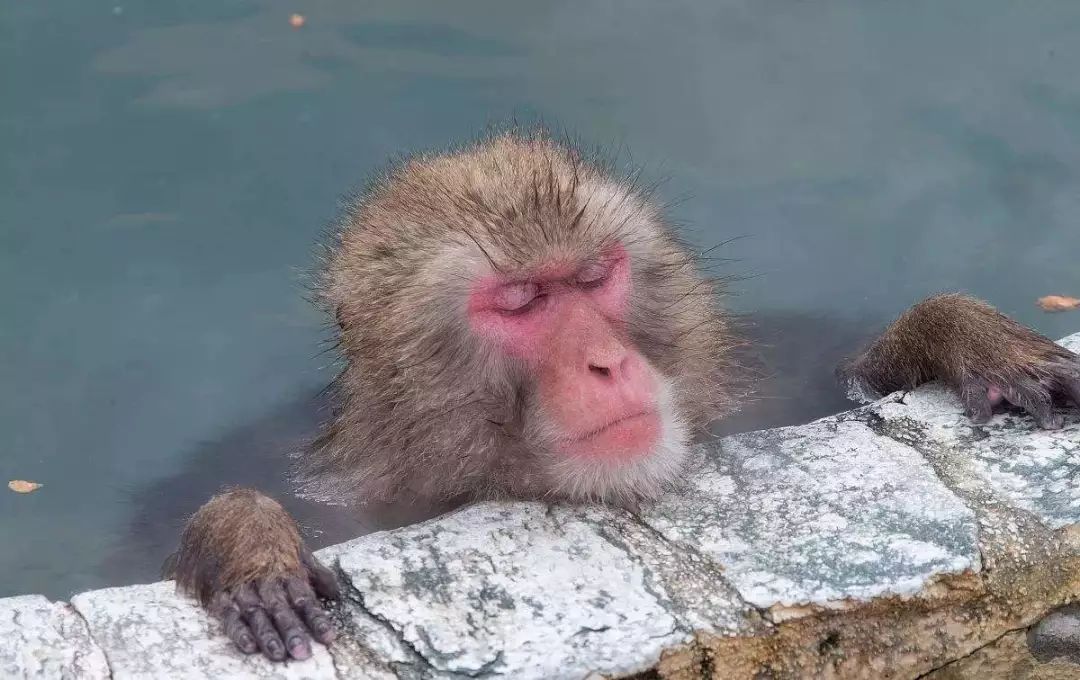 石原里美西班牙旅行,石原里美的西班牙本色之旅