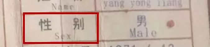 被这个翻译气笑了!但更扯的是它背后的组织……