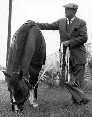 一滴精贵过一粒大钻石!“北方舞蹈家”一次配种费曾高达675万……