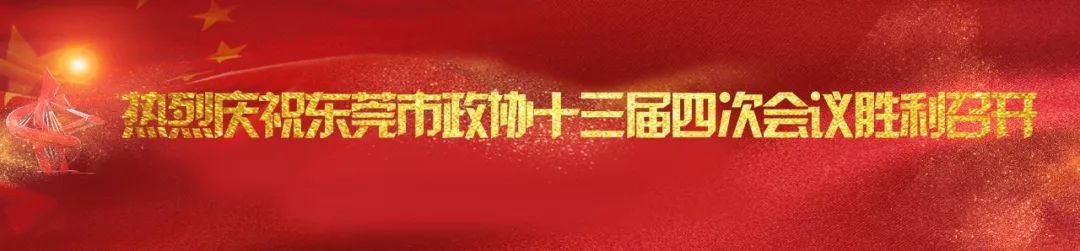 东莞召开民营企业家代表座谈会,东莞企业家座谈会