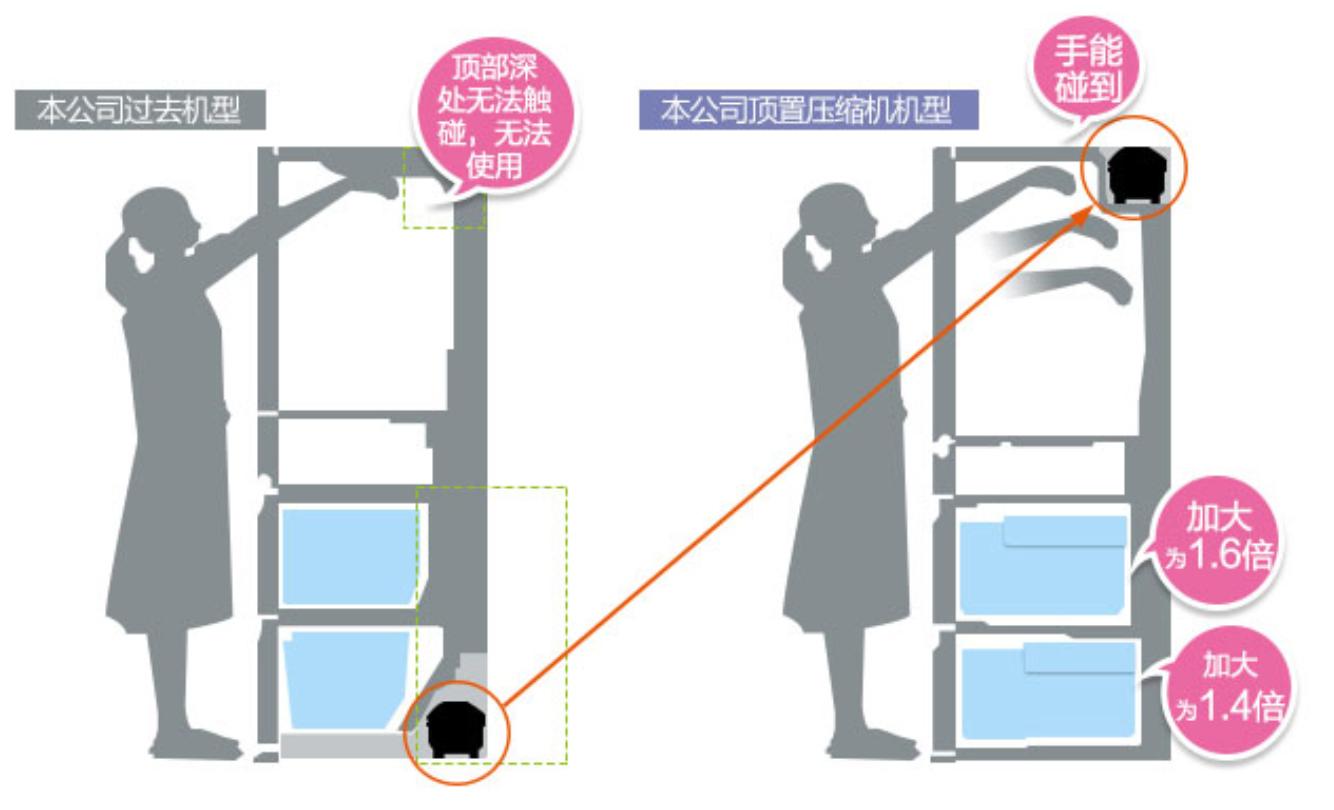 年前最后一笔大钱就花在它们身上了