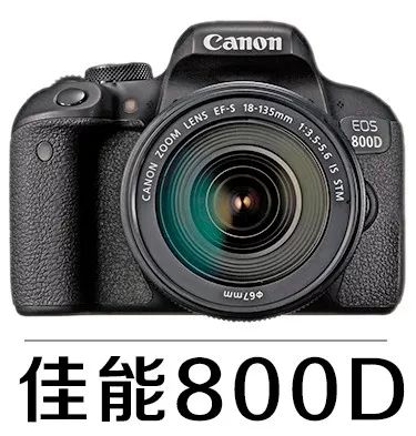 新手必须掌握的7个微距摄影技巧,光影留情谈微距拍摄技巧