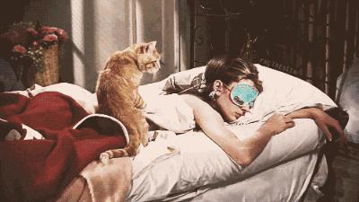 难以置信，这种VVVIP级的高奢SPA现在竟然不花钱？