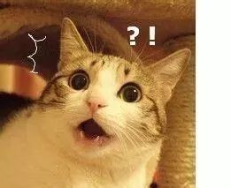 日本网红眼药水真的不能用,日本网红眼药水是什么