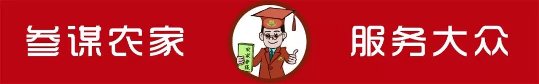 春运乘车防骗指南,春运防骗防盗安全提示你值得拥有