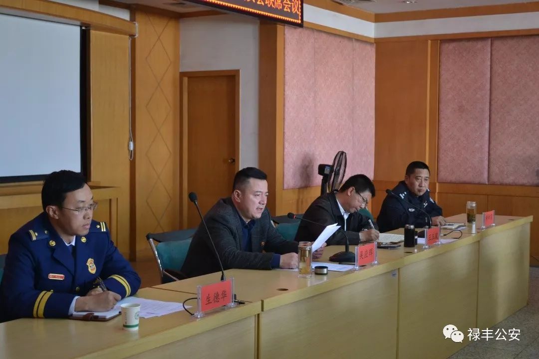 「平安五号」禄丰县人民政府召开2019年第一季度县预防道路交通事故领导小组暨县消防安全委员会联席会议