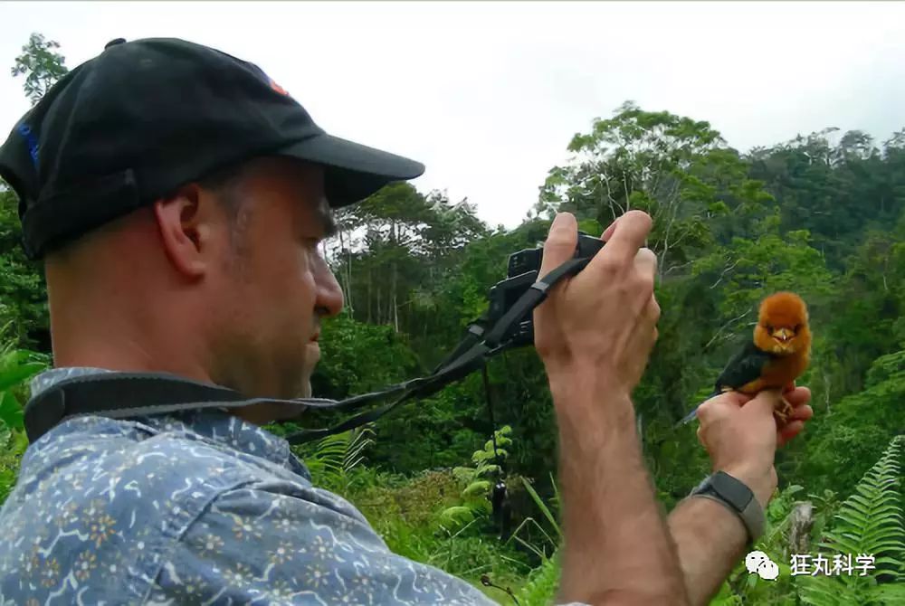 靠舌头舔出来的科学发现，最后一个让我不得不服