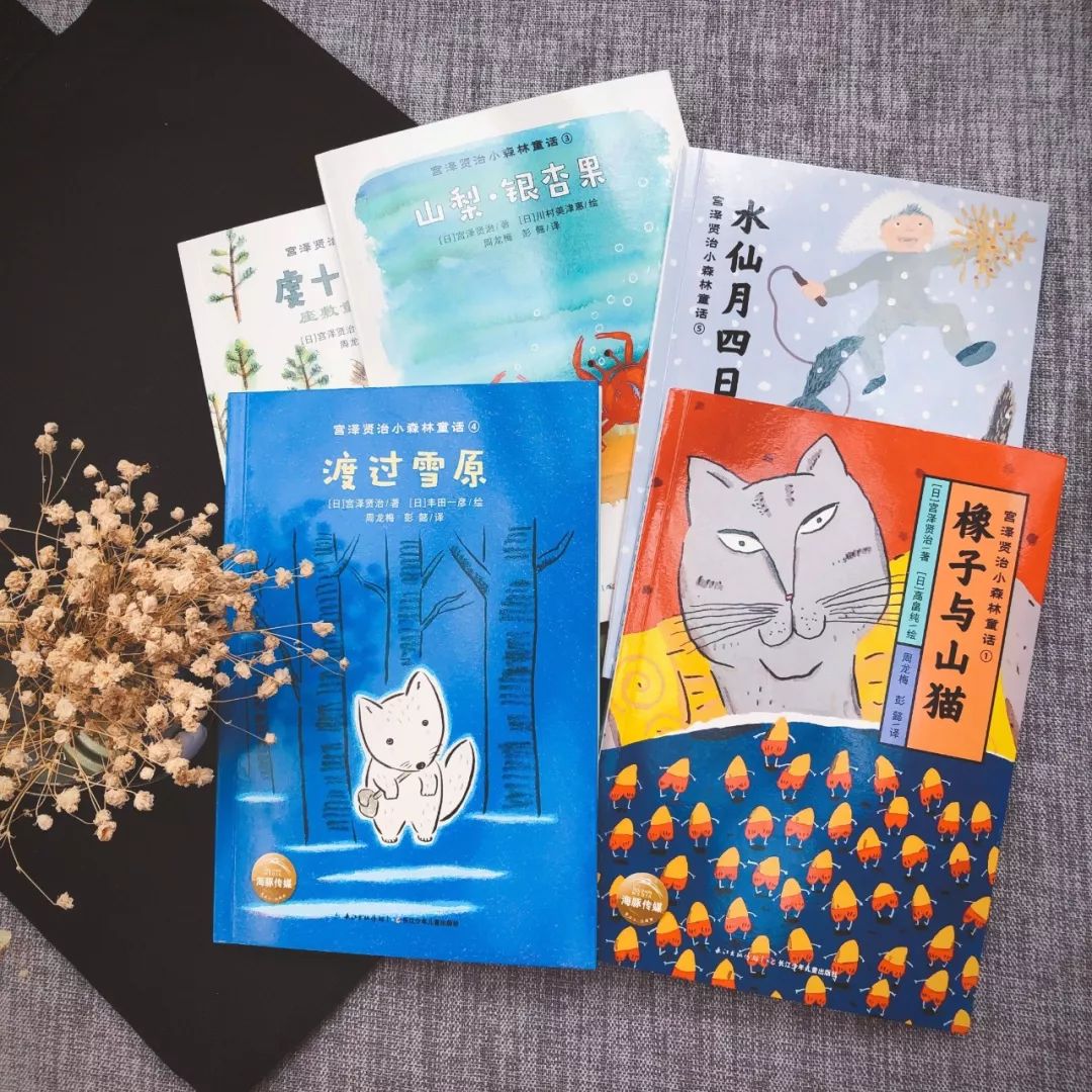 比起说教和大道理，我更想给你自由的灵魂丨宫崎骏都喜欢的童话作品《宫泽贤治小森林童话》