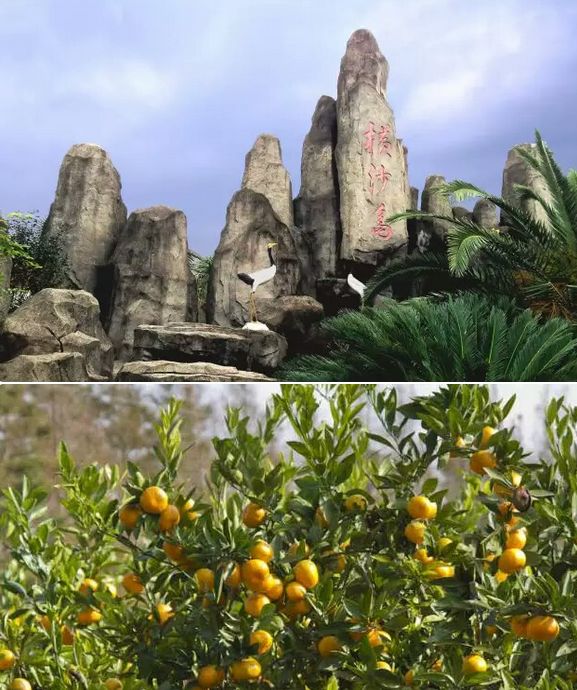 崇明好的民宿树屋,上海崇明农庄民宿