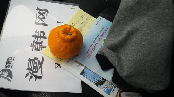 济州岛自由行包车旅游攻略,济州岛一日游包车