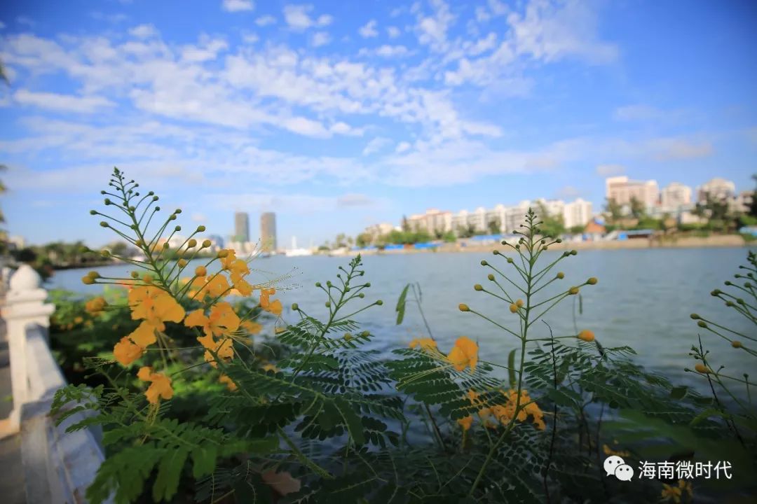 何为海口,啥是海