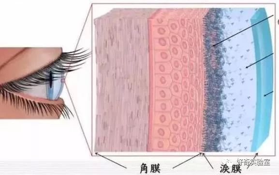 电脑显示屏垫高有用吗,你把办公室显示屏垫高了吗