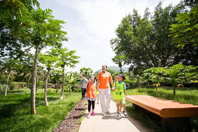 「头条」红树林春节预售优惠升级！888元起住亚龙湾，欢度温暖新春~