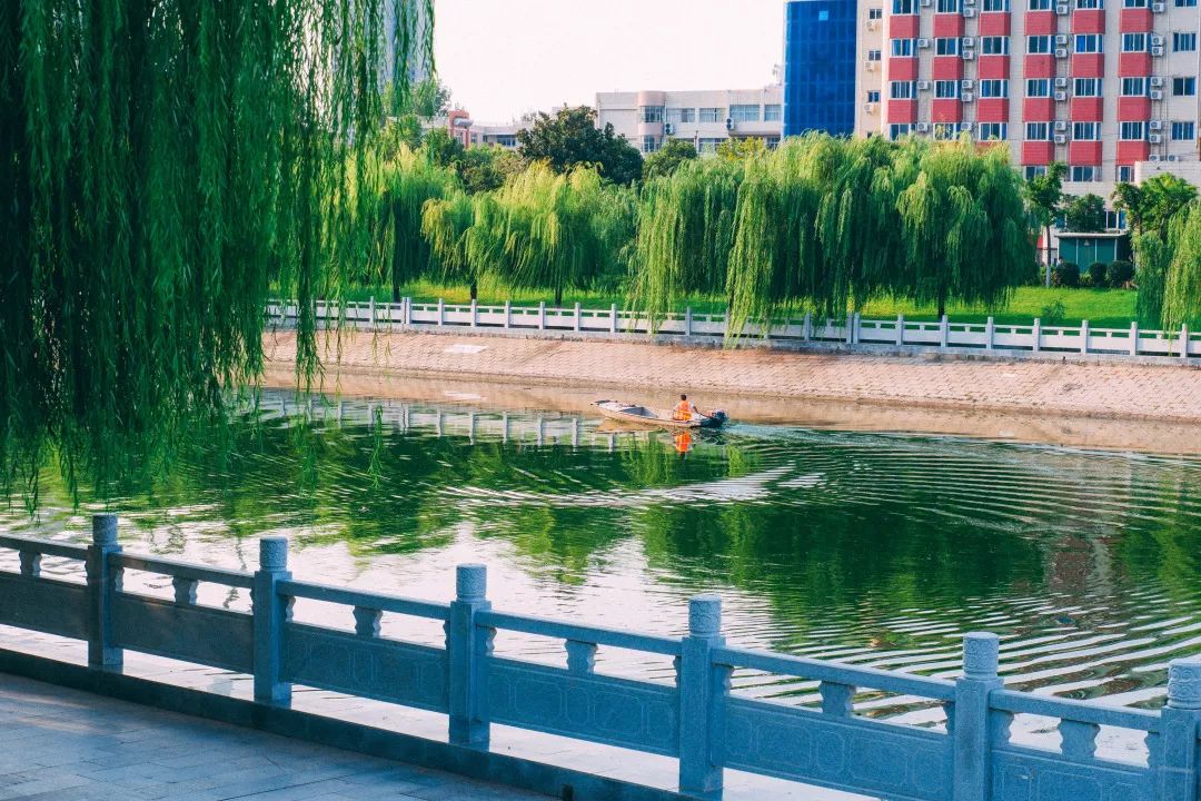 郑州市长向世界发出邀请,郑州向全球招才引智