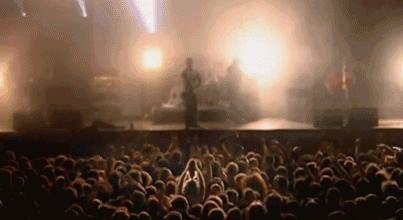 鸡头上装摄像头拍摄,鸡头摄像头拍摄视频