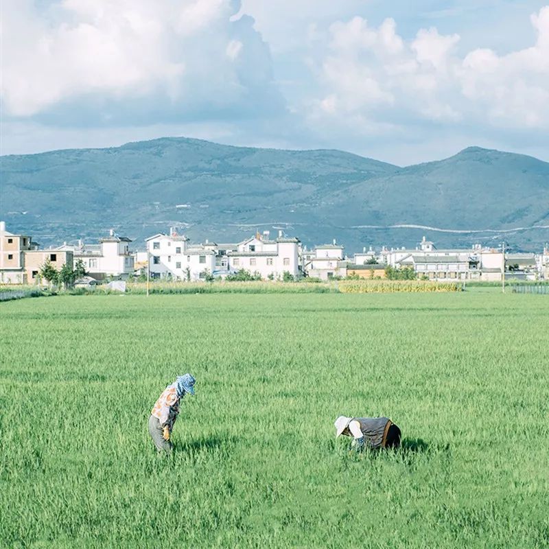 日系清新拍照参考,拍小清新日系照