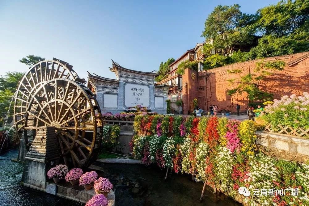 云南人才风景线,云南人才风景线红河专访直播