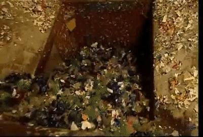 为什么塑料瓶可以卖钱,塑料瓶和塑料袋能做衣服用吗