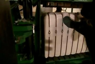 为什么塑料瓶可以卖钱,塑料瓶和塑料袋能做衣服用吗