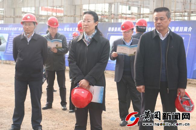 蕲春李时珍医药港开发,湖北省李时珍蕲艾产业园