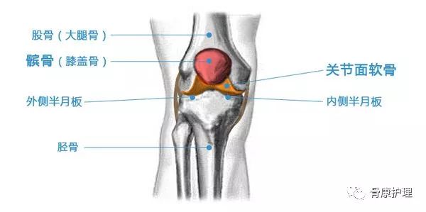 滑膜发炎有积液怎么办,滑膜发炎是什么原因引起的