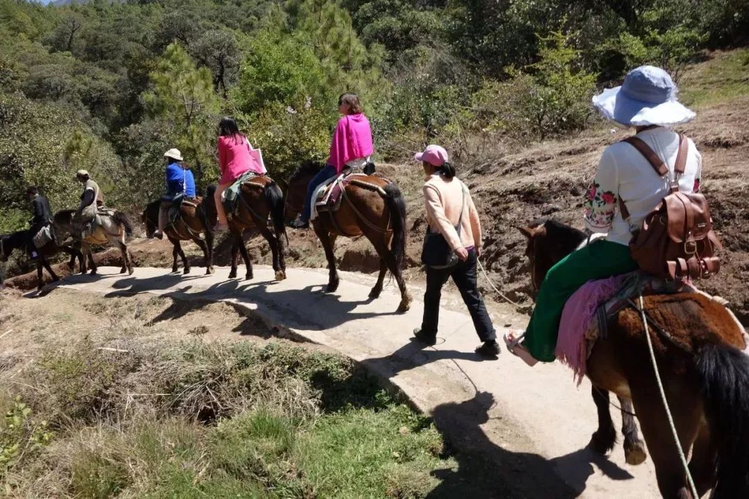 云南旅游全攻略自由行先去哪 (云南旅游自由行省钱攻略)