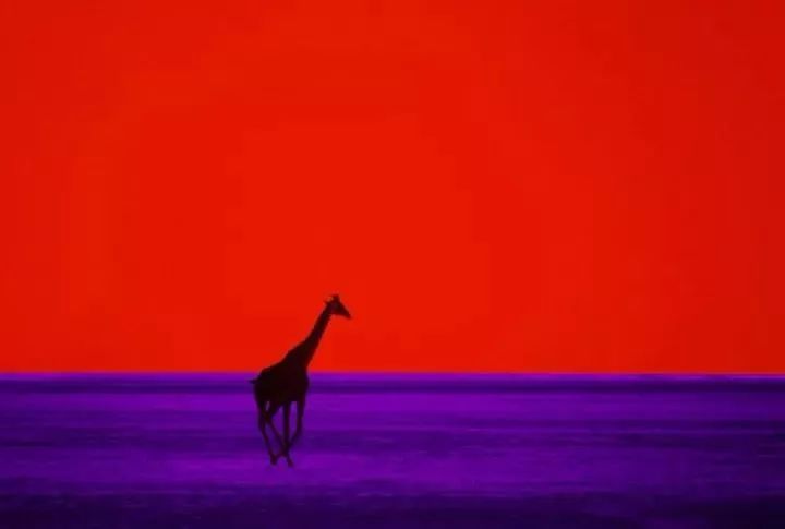 足够艳！啧啧，看“色彩之王”皮特玩转红黄蓝