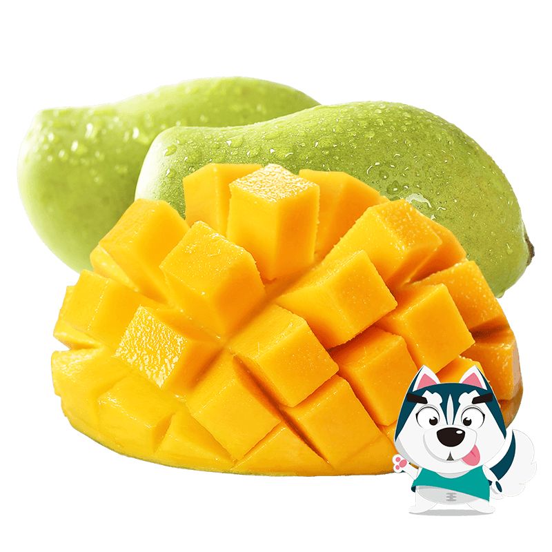 贵阳新春年货节,贵阳新年年货礼盒