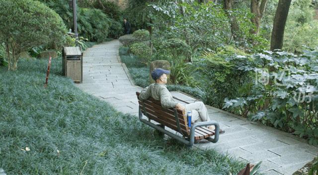 福州好玩拍照好看的地方,福州3-4月份赏花位置