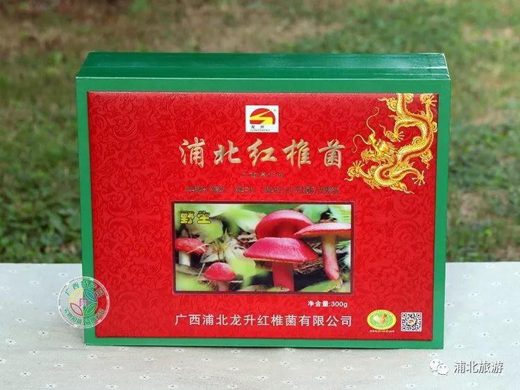 常回家看看买点礼物,常回家看看送给牵挂的人