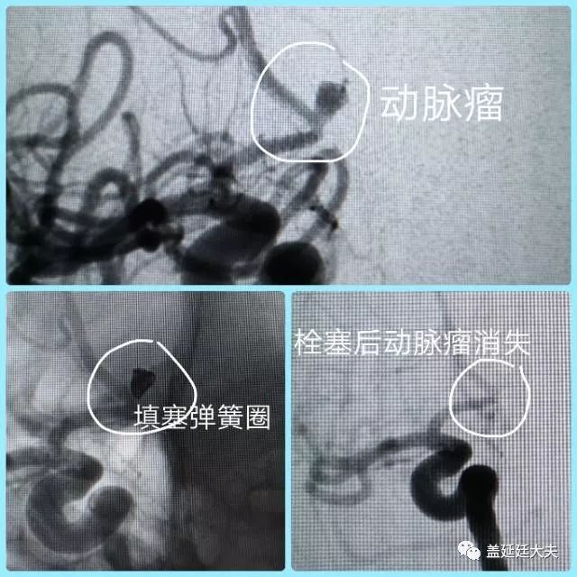 医路向前小说,医路向前完整版合集