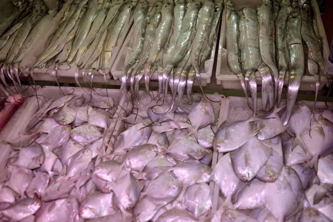 哪个海域的海鲜最好吃,十大最好吃的五种海鲜