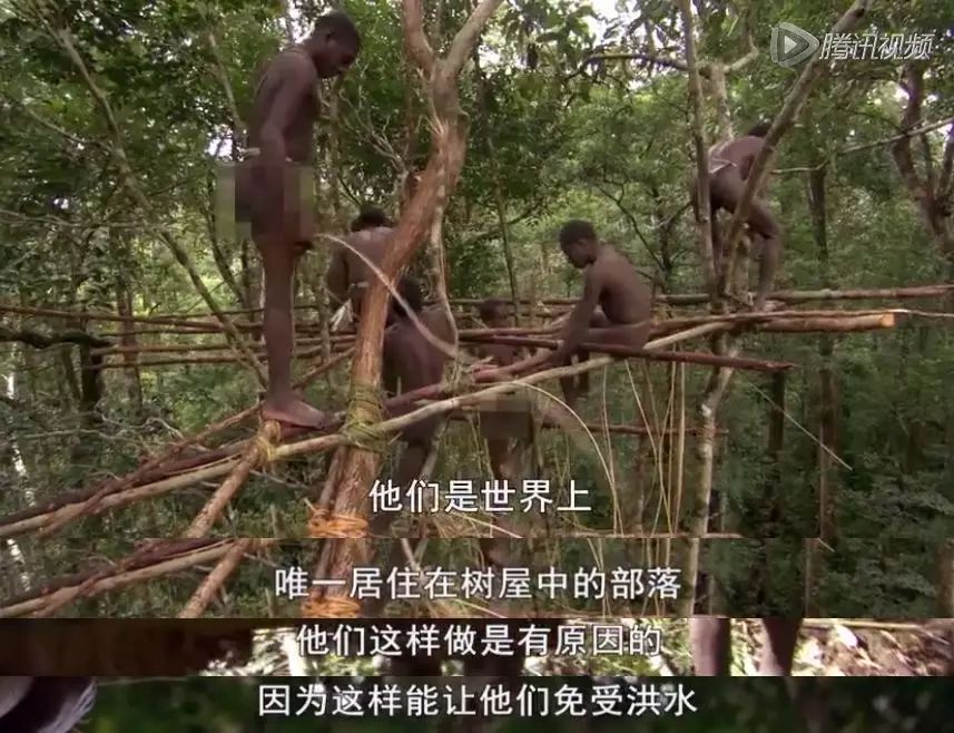 奥运冠军被外媒质疑,外媒嘲笑中国奥运