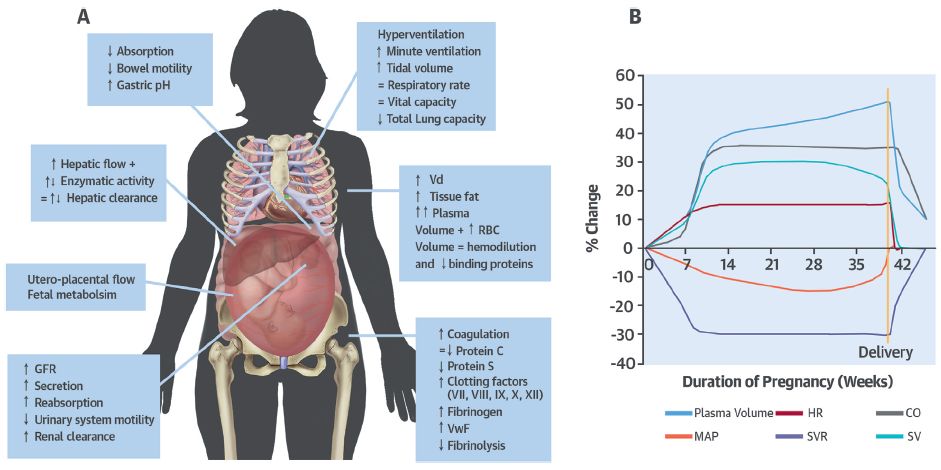 妊娠期如何合理使用药,妊娠期疾病的用药指导