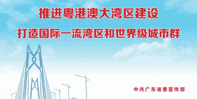 经常掉发的人有什么办法,经常掉发吃什么能改善