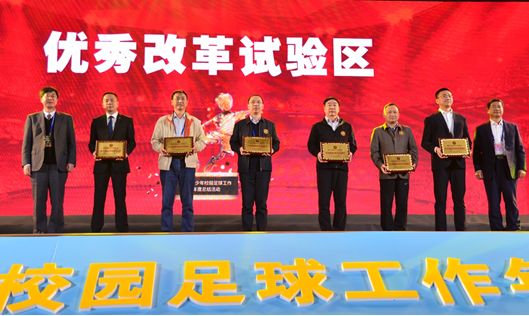 2019年沈阳市青少年校园足球比赛,祝贺孩子们校园足球赛勇夺冠军