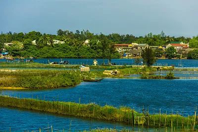 「关注」240公斤有毒昂公鱼？鱼体检出孔雀石绿！