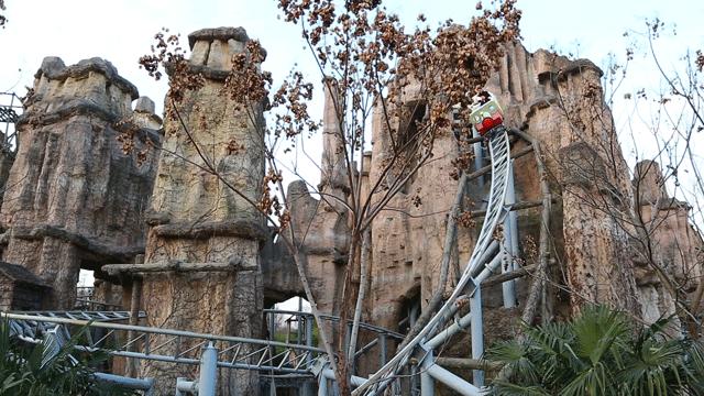 少女心炸裂！松江『蝴蝶节』来啦！（内有女生专属超多福利）
