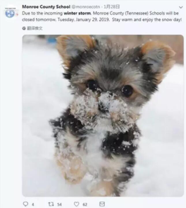 美国出现大范围极寒天气最新情况,美国出现大范围极寒天气的原因