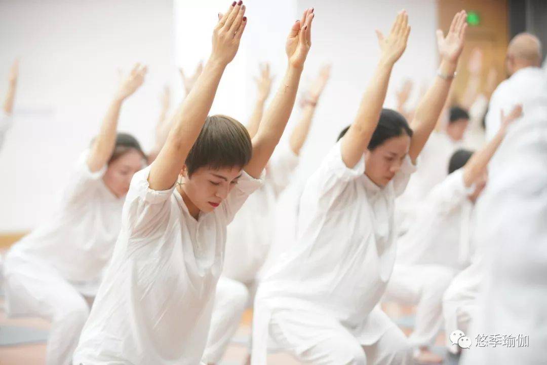 悠季瑜伽和亚协瑜伽哪个好,悠季瑜伽每日瑜伽哪个好