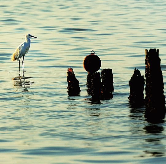 坐地铁去深圳旅游攻略路线,深圳一日游详细攻略大全最新