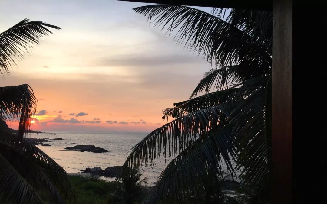 鏄ヨ妭鑷晳鎸囧崡灏忓彿,鏄ヨ妭鑷晳鏀荤暐