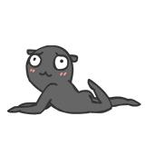 南方回南天潮湿到怀疑人生,南方的回南天潮湿