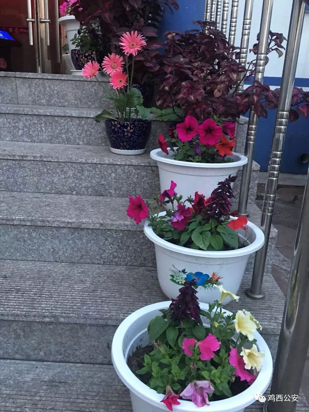 民警不忘初心的坚守视频,基层民警从警二十年感悟