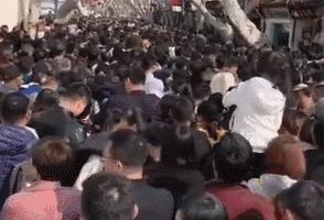 人从众第四个字怎么念,人从众什么意思