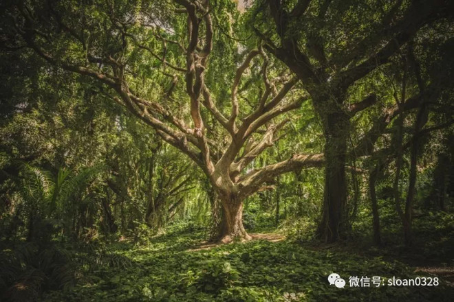 买京东股票怎么买,没买过股票怎么买